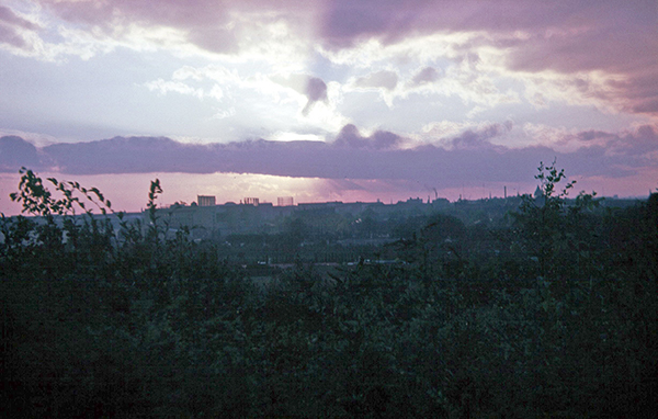 City skyline at sunset with purple and pink clouds. Dark foliage is in the foreground.